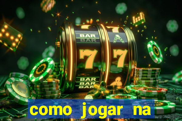 como jogar na lotinha do jogo do bicho